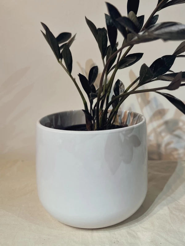 VASO BRETAGNE BRANCO D19 A15