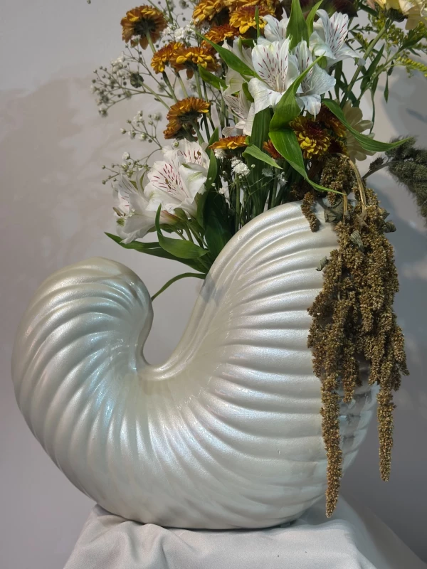 Vaso Concha Perolado