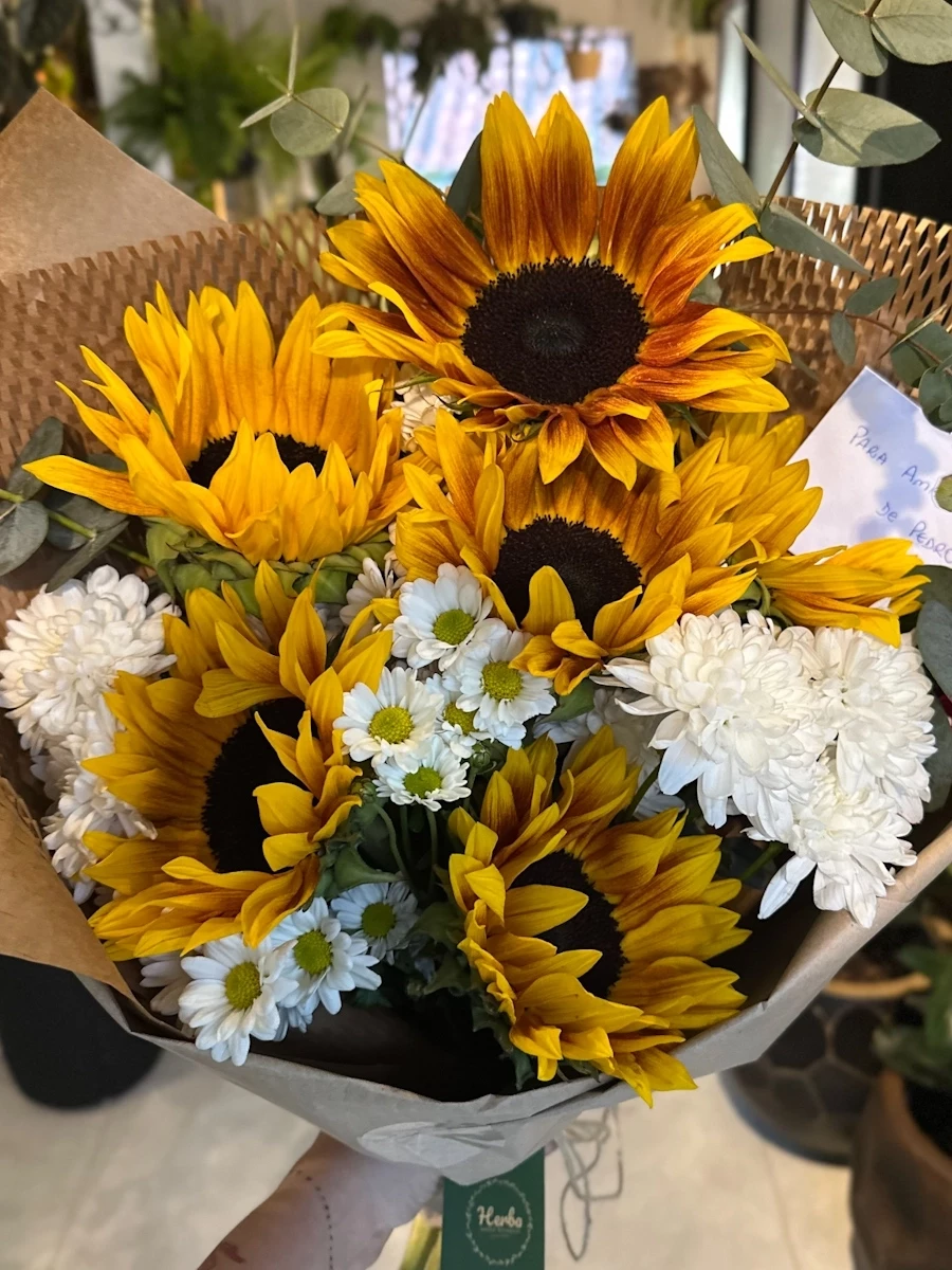 Buquê Girassol M