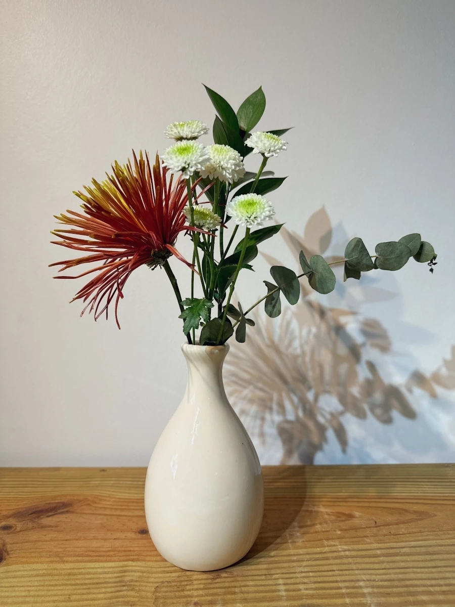 Vaso Solitário Malta