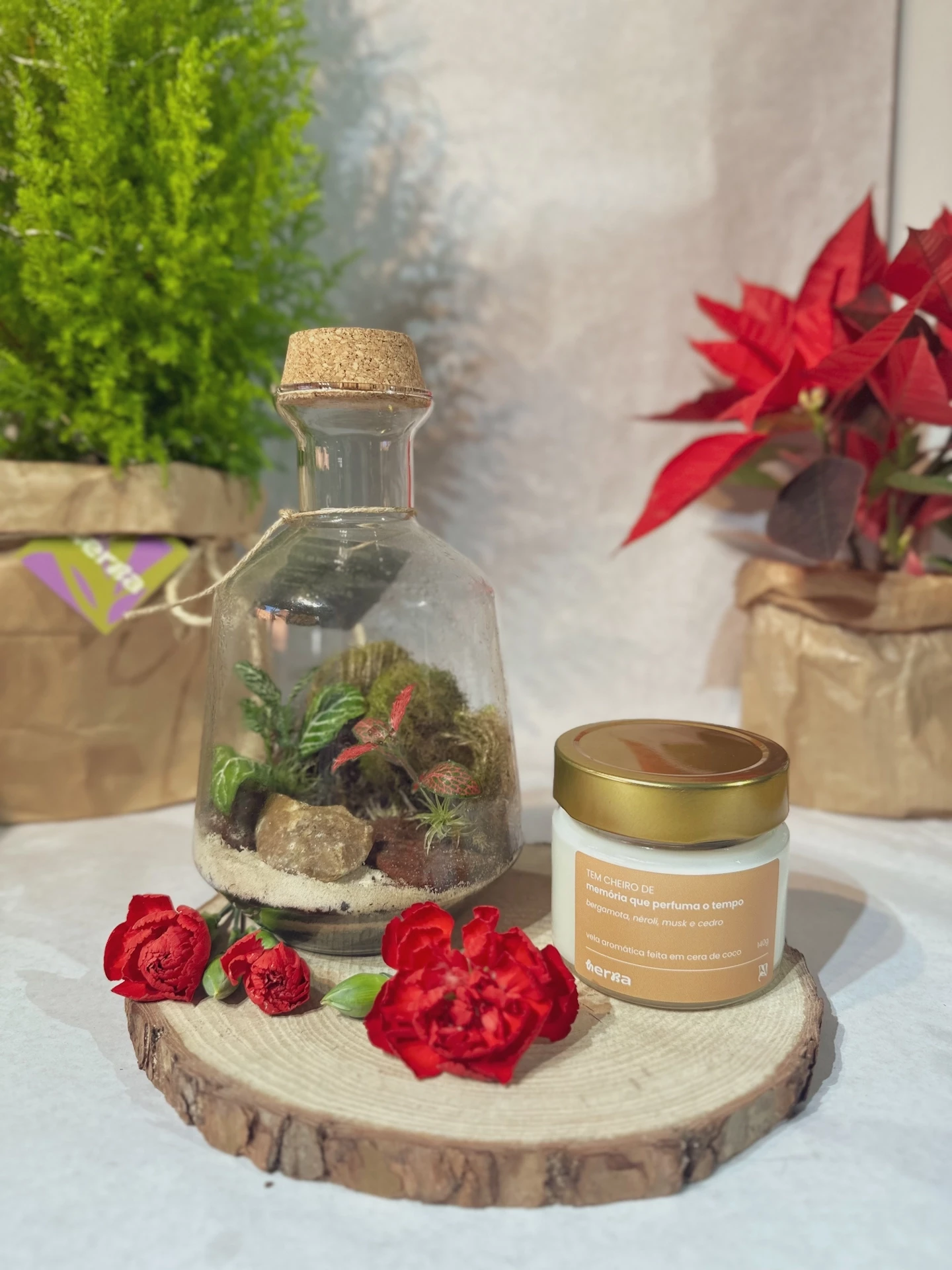 Kit Mundo Interior | Terrário Decorativo + Vela Aromática Artesanal 140g