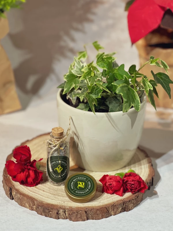 Kit Pouso | Hera no Cachepot + Escalda Pés + Hidratante Relaxante